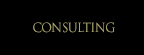 1:1 Consulting